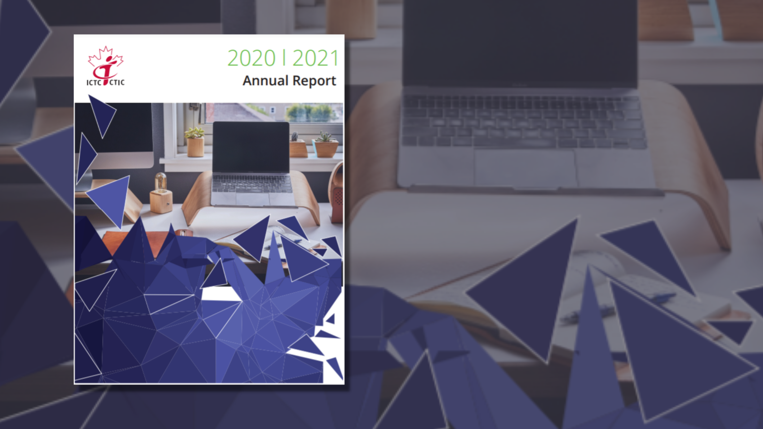 A Year In Perspective: 2020-2021 Annual Report image
