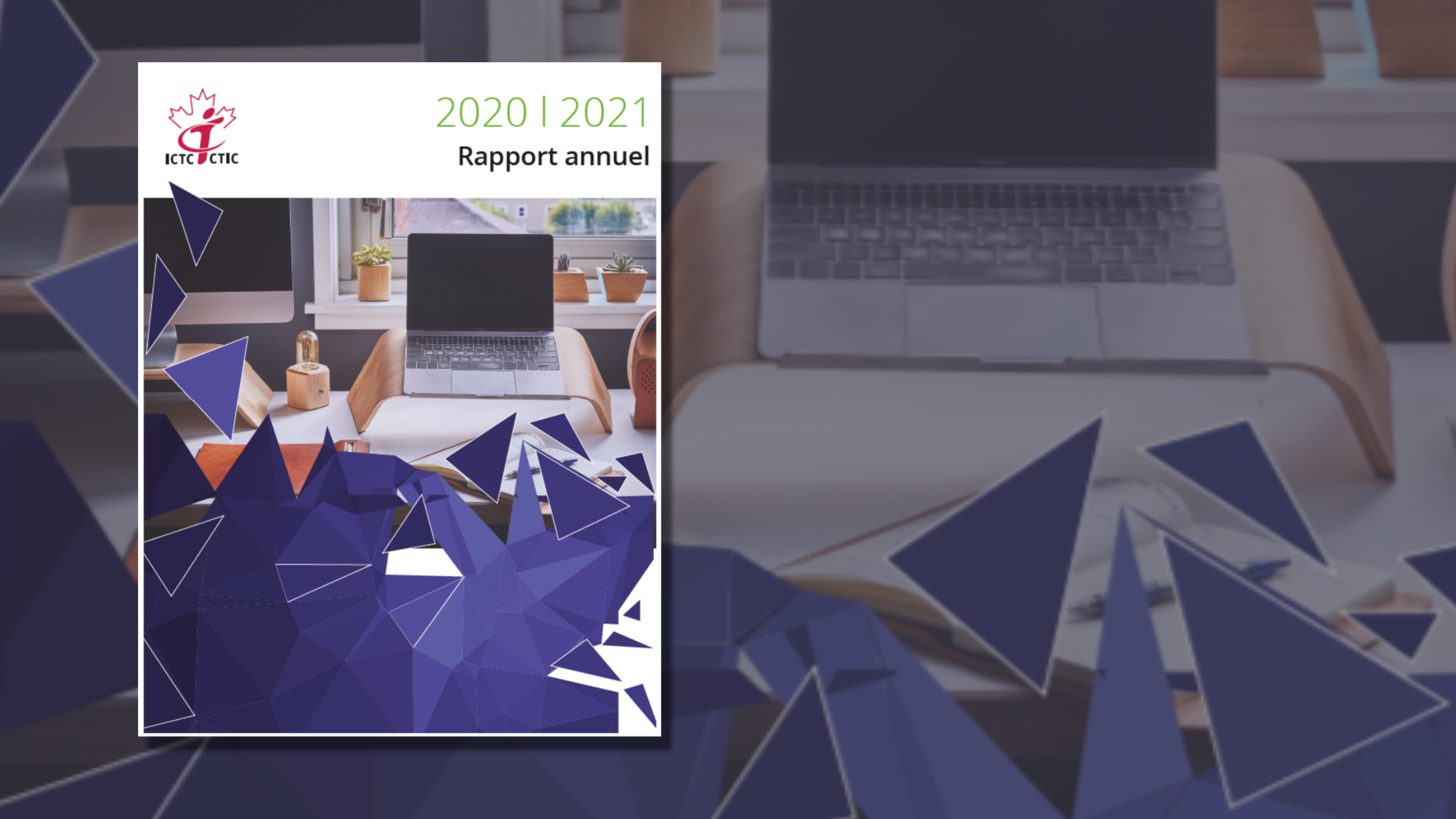 L’année en perspective : rapport annuel 2020-2021 image