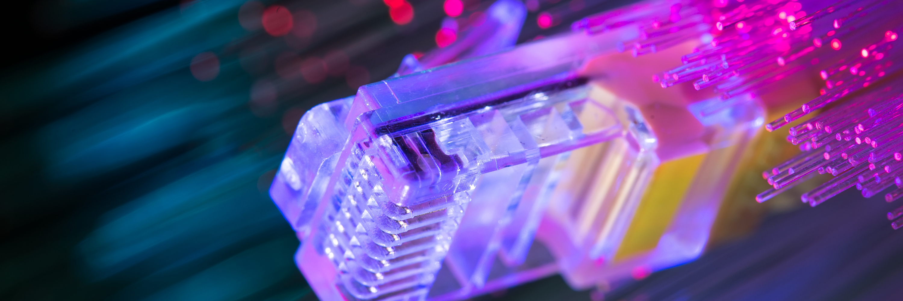 Digital Talent Key to Meeting Our Highest-Growth Potential: Canada to See a Strong Demand for Digitally-Skilled Workers in the Coming Years image